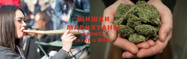 МДПВ Медногорск