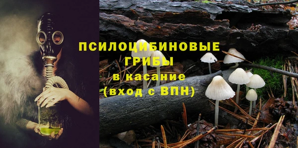2c-b Медвежьегорск