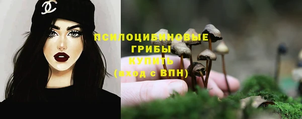 2c-b Медвежьегорск