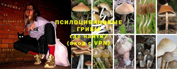 МДПВ Медногорск