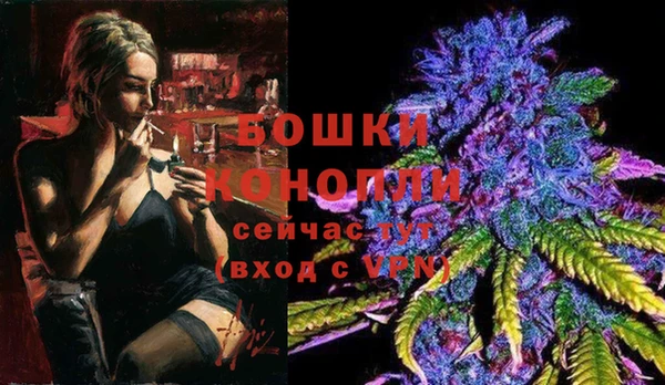 2c-b Медвежьегорск
