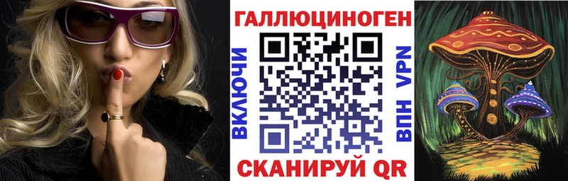 Псилоцибиновые грибы Psilocybe  Купить закладки  Заволжье 