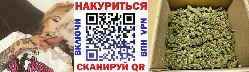 Купить где  Заволжье  Конопля марихуана 